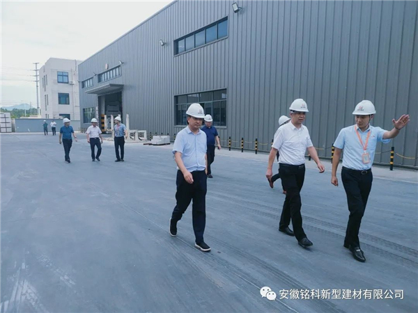池州市貴池區(qū)領(lǐng)導(dǎo)來我司參觀考察
